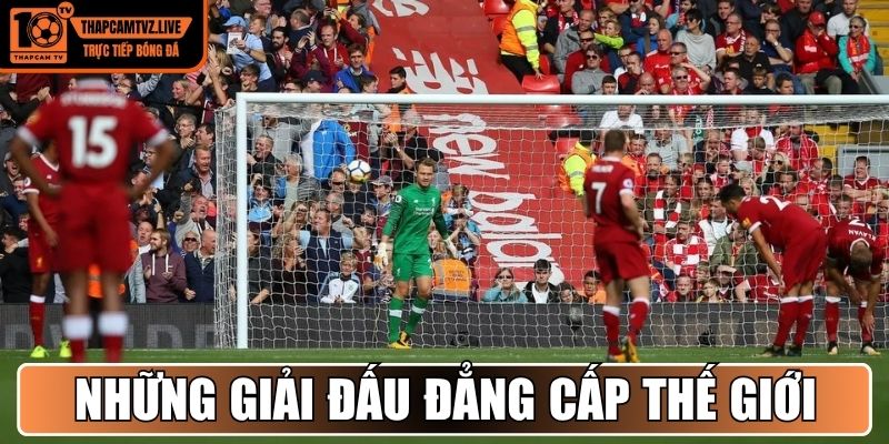 Những giải đấu đẳng cấp thế giới có bản quyền trực tiếp