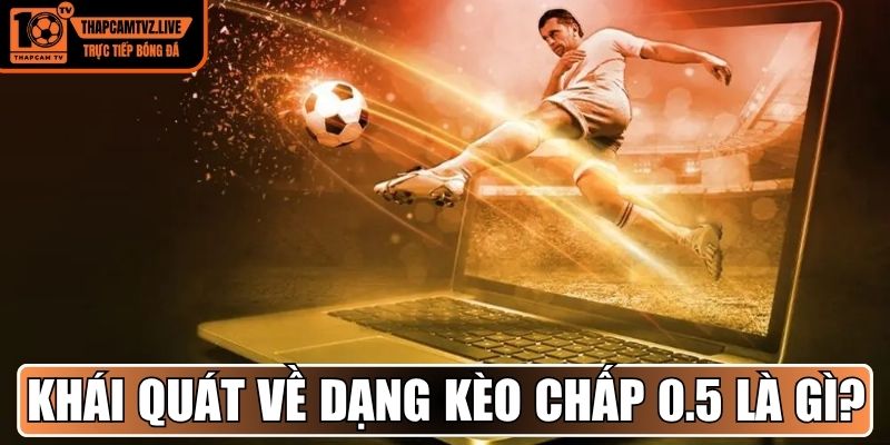 Khái quát về dạng kèo chấp 0.5 là gì?