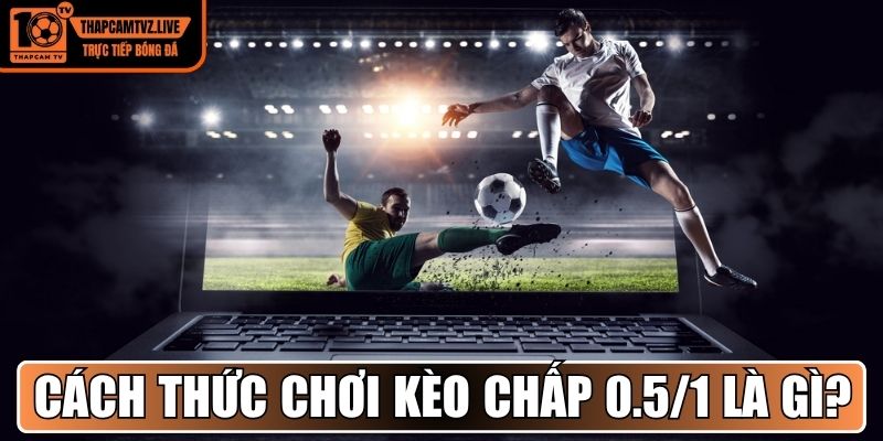 Cách thức chơi kèo chấp 0.5/1 là gì dành cho người mới
