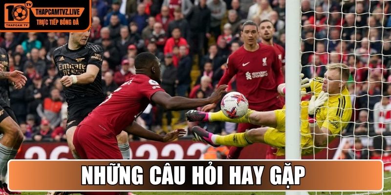 Những câu hỏi hay gặp 