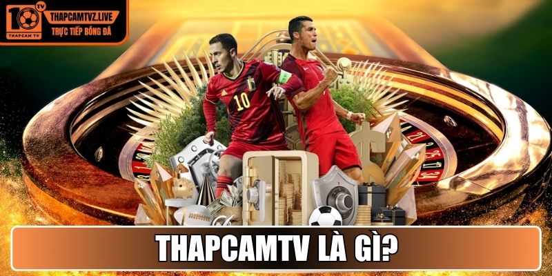 Thapcamtv là gì?