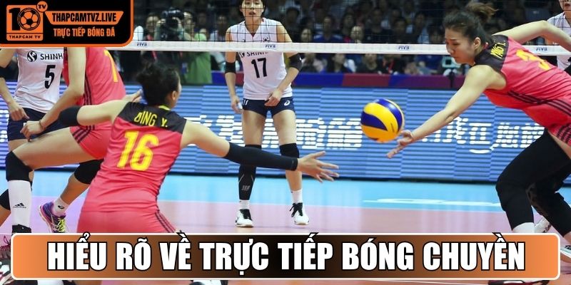 Hiểu rõ về trực tiếp bóng chuyền trong giới cá cược